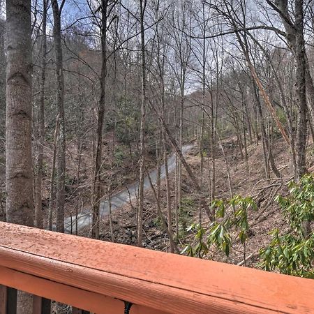 Tree Top Dream Cabin With Hot Tub In Gatlinburg! Villa Kültér fotó